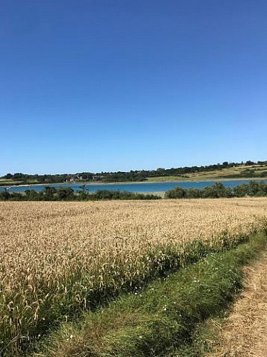 Moulin de Rochegoude