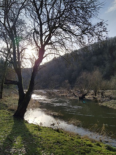 Chairière_2021-hiver-prom les Crêtes-(AG) (20)