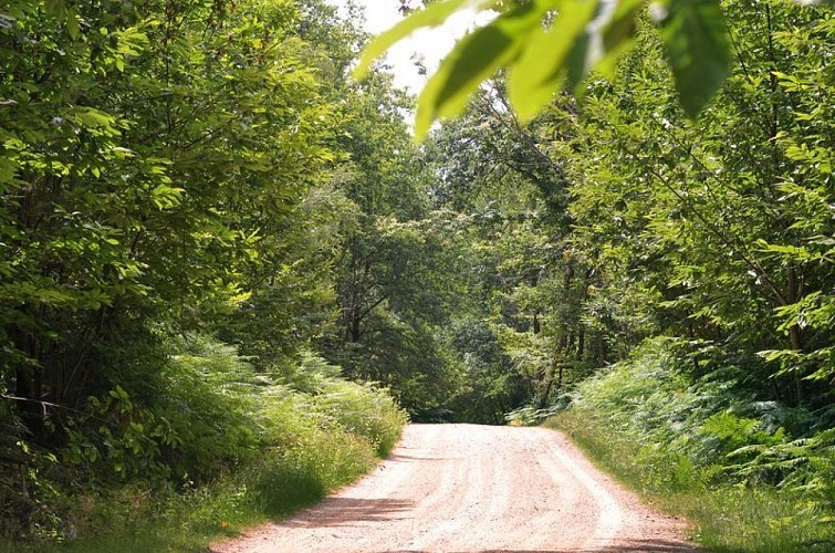Sentier Le Bois du Curé et des mille Diables
