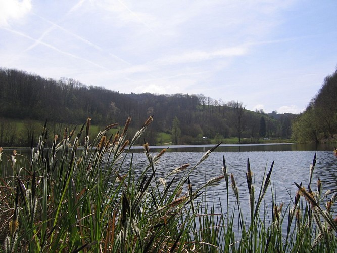 Fußwanderweg: "Teichlandschaft Thivoley"