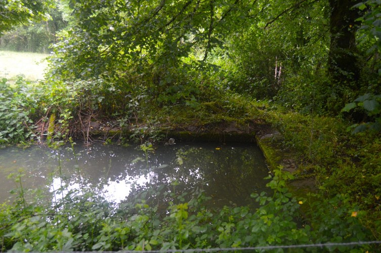 Sentier des écrevisses