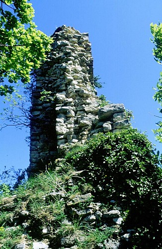 Castle of Montfort, Celtic barred spur or medieval site