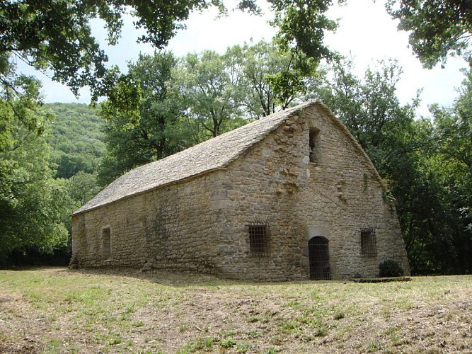 Château de Montfort, éperon barré celte ou site médiéval