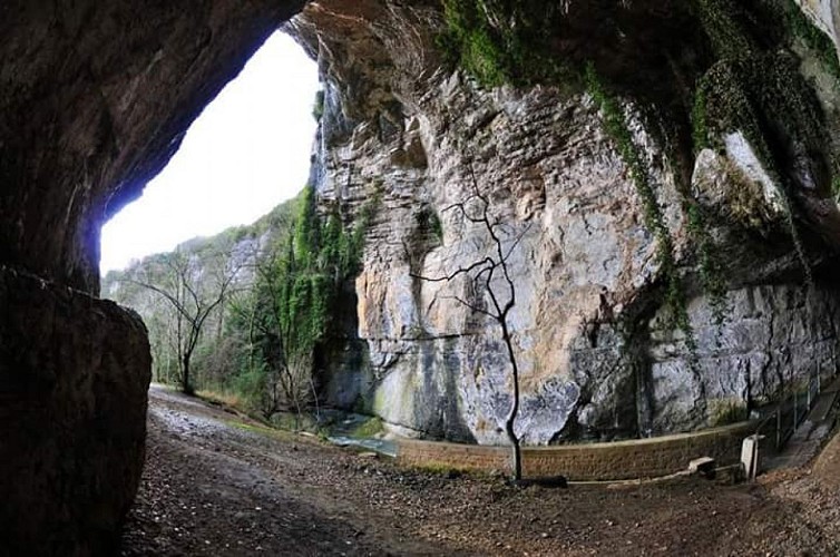 Grotte et reculée de Corveissiat