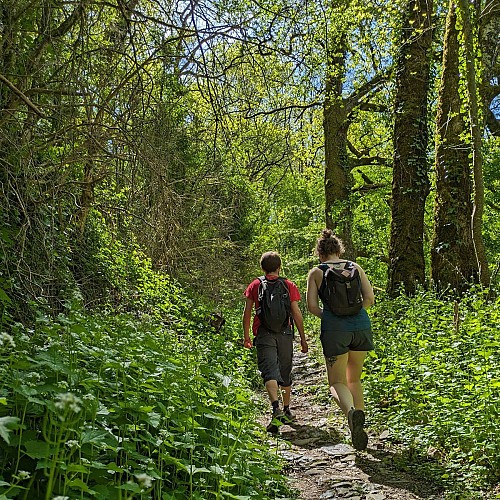 Randonnée sur les berges de l'Aveyron