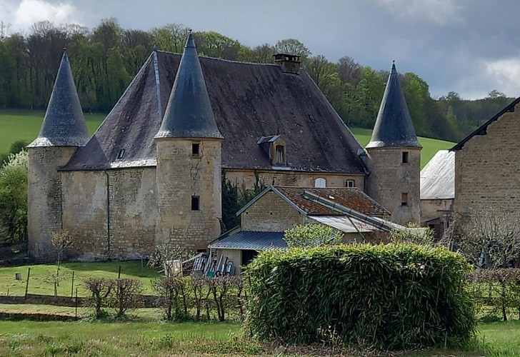 Le château d'Elan