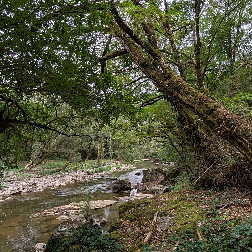 Berges de l'Aveyron