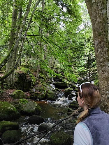 Randonnée à la cascade