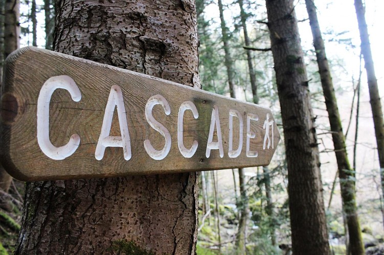 Randonnée à la cascade