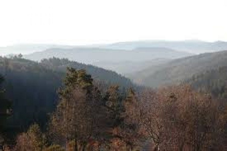 Balade autour du Moulin de Vignal