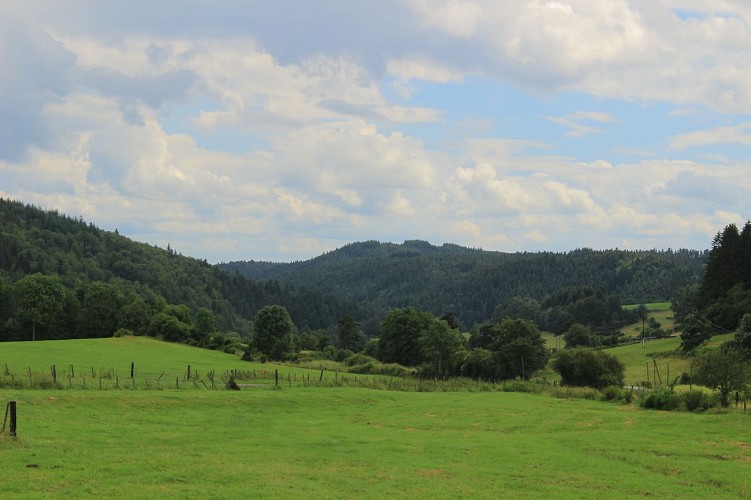 Vallée de l'Andrable