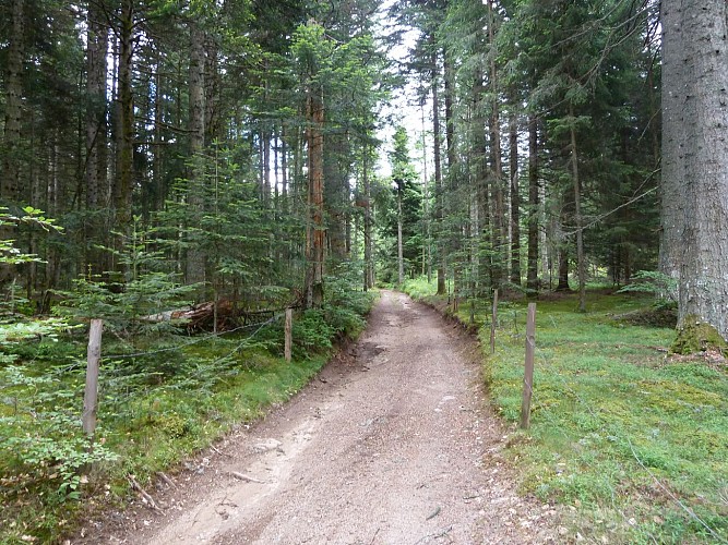 Sentier St-Jean-Soleymieux