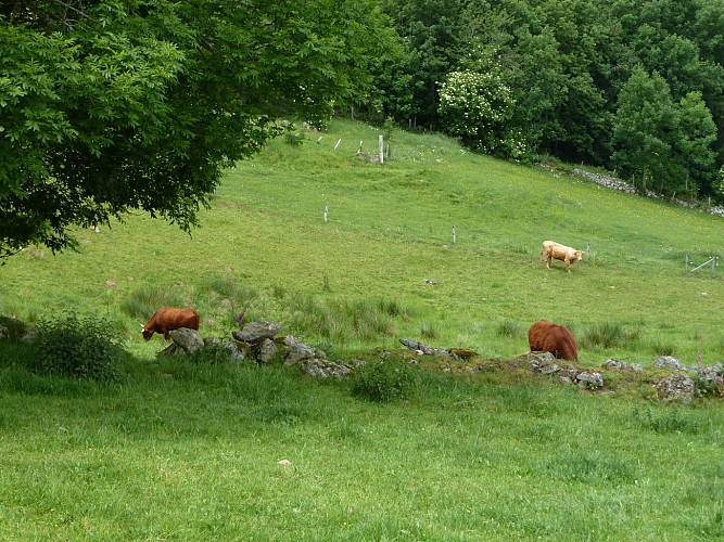 Sentier St-Jean-Soleymieux