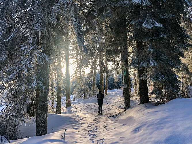 Circuit de l'écureuil - sneeuwschoen en wandelroute