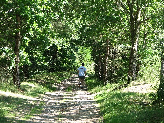 Das Abenteuer der Schiene: Strecke für Wanderer, Reiter und Mountainbikes :St Marcellin - Estivareilles