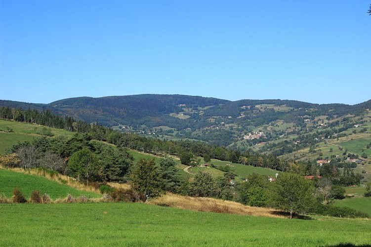 Le Lignon et la forêt