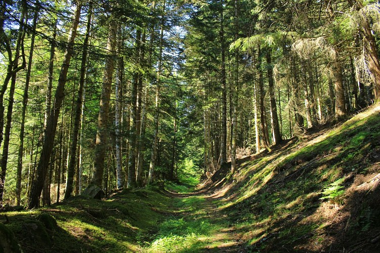 Sentier de la résistance