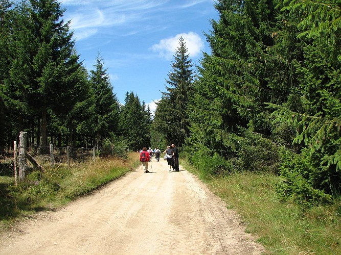 La haute vallée du Lignon