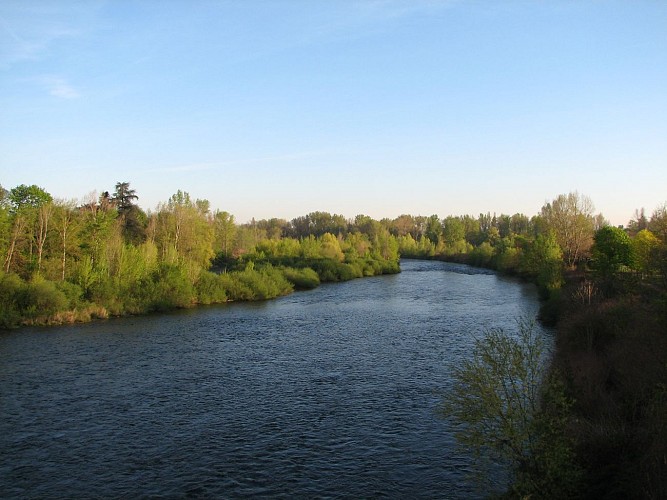 Sentier bords de Loire