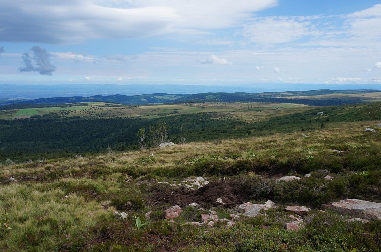 Les plateaux de Pierre sur Haute