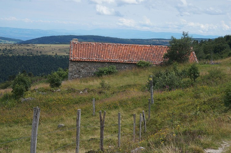 Les plateaux de Pierre sur Haute