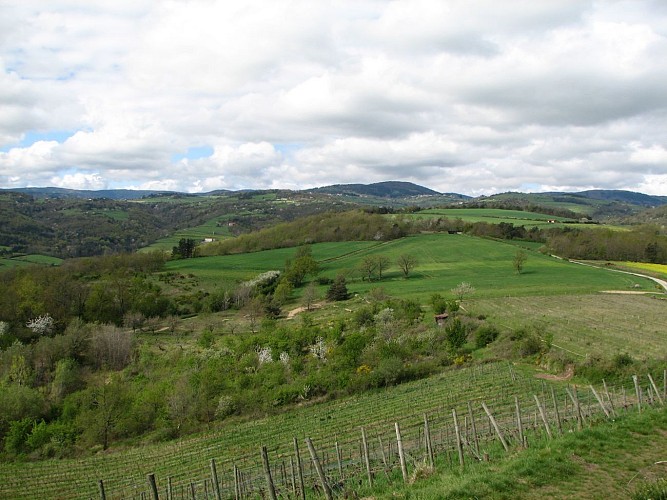 Vue depuis la Madone