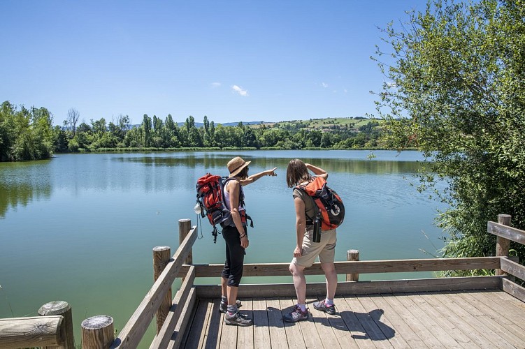 GR® 765 et Chemin de St-Jacques-de-Compostelle Cluny/Le-Puy-en-Velay_Bussy-Albieux