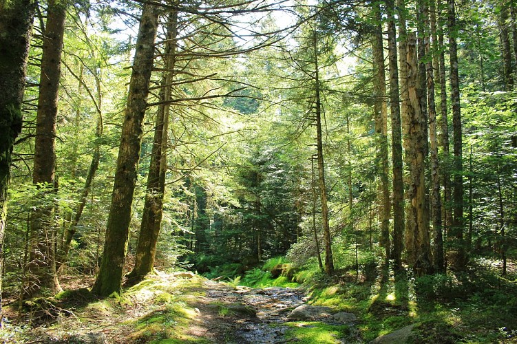 Sentier de la résistance n°23