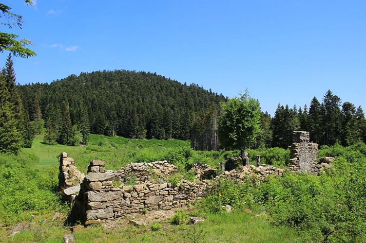 Sentier de la résistance n°23