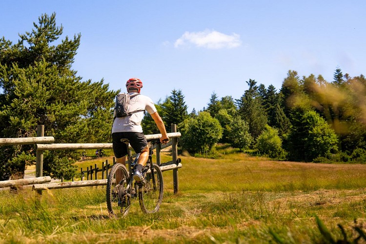 N°61 - Le novice - Espace VTT-FFC Massif des Bois Noirs_La Chamba