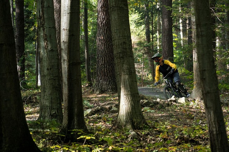 N° 13 - La pierre branlante - Espace VTT-FFC Massif des Bois Noirs