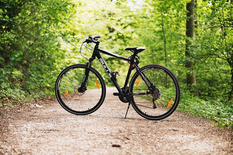 N° 42 - Une forêt grandeur nature - Espace VTT-FFC Massif des Bois Noirs