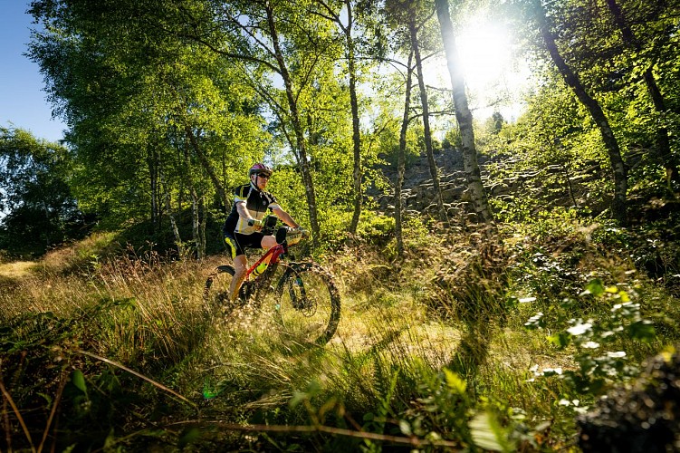 N° 14 - Le débutant - Espace VTT-FFC Massif des Bois Noirs