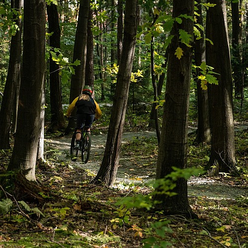 N° 14 - Le débutant - Espace VTT-FFC Massif des Bois Noirs