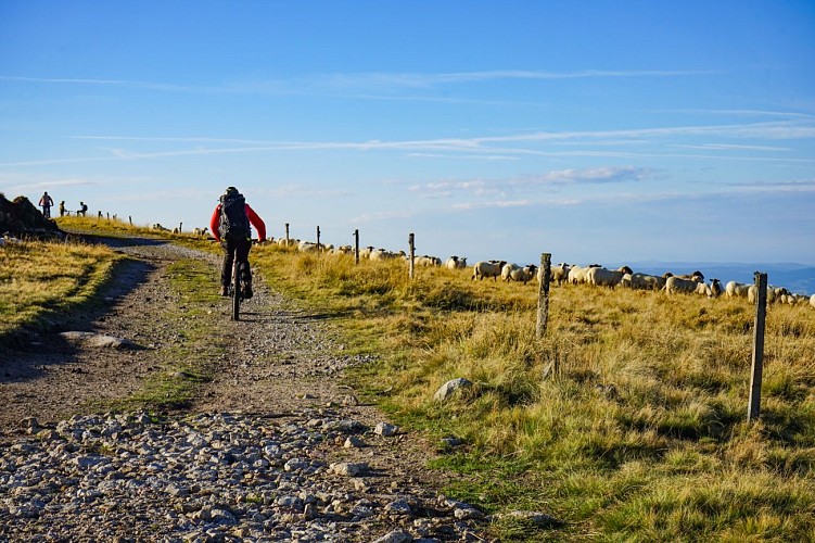 N° 27 - Pierre sur Haute - Espace VTT-FFC Massif des Bois Noirs