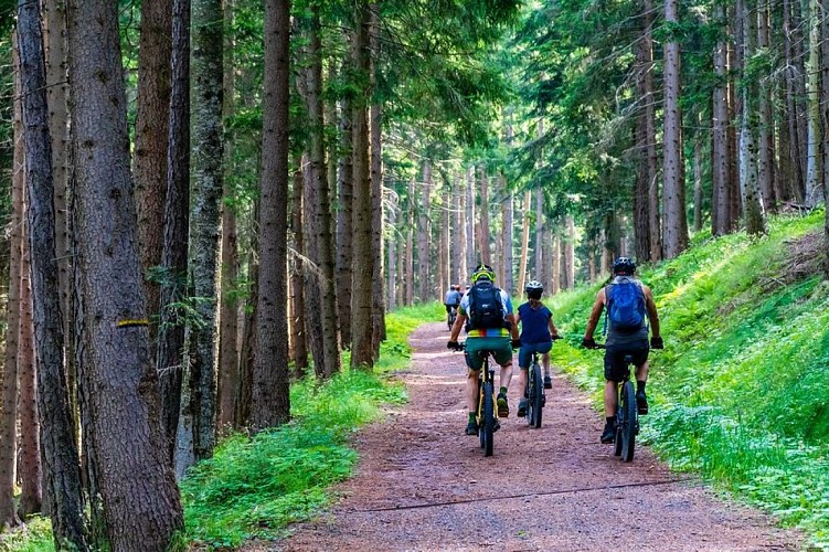 N° 57 - Le circuit pour la famille - Espace VTT-FFC Massif de Bois Noirs