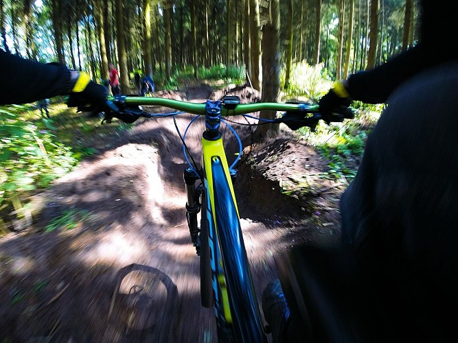 N°58 - Les fougères - Espace VTT-FFC Massif des Bois Noirs