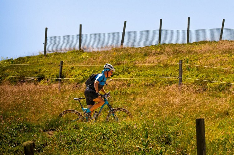 N°60 - Les trois sites - Espace VTT-FFC Massif des Bois Noirs_Chalmazel - Jeansagnière
