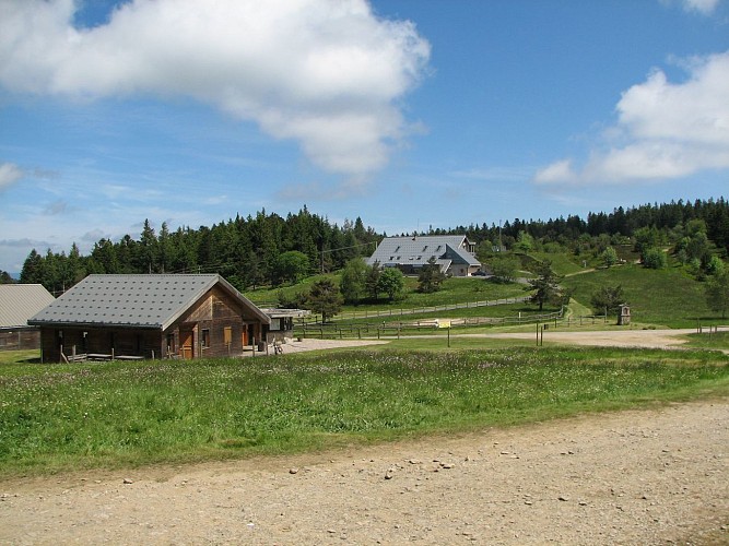 N°62 - Les deux boules - Espace VTT-FFC Massif des Bois Noirs