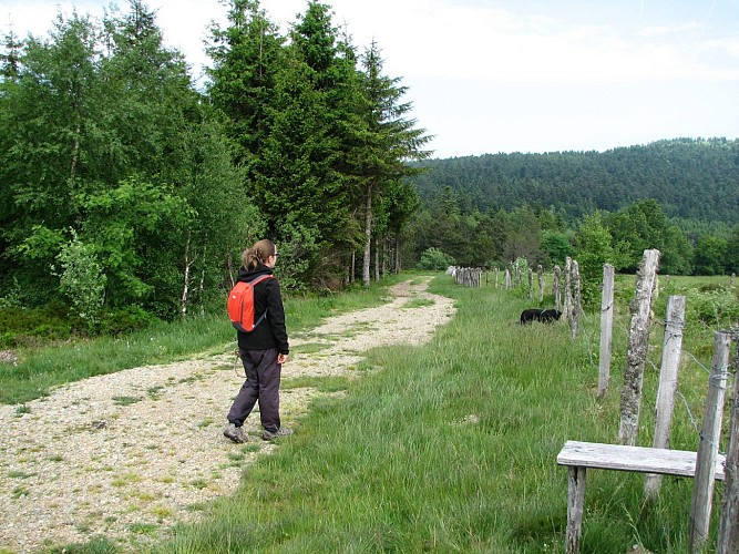 N°62 - Les deux boules - Espace VTT-FFC Massif des Bois Noirs