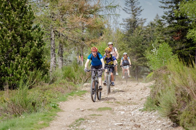 N°64 - Le Haut Forez - Espace VTT-FFC Massif des Bois Noirs