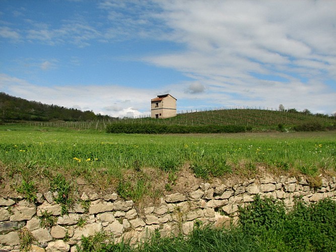 GR®765 et Chemin de St-Jacques-de-Compostelle Cluny/Le-Puy-en-Velay Etape Montverdun - Montbrison