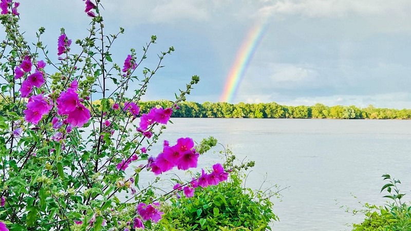 Circuit de randonnée : Sur les traces de Robrica