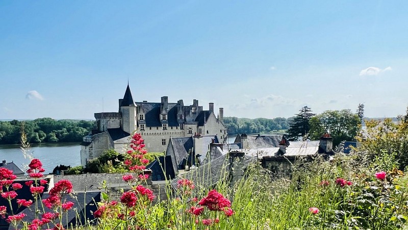 Circuit de randonnée : Un village et son château entre Loire et troglodytes