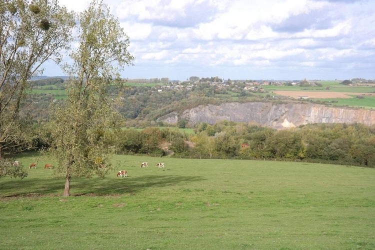 VTT3 Campagne Oneutoise