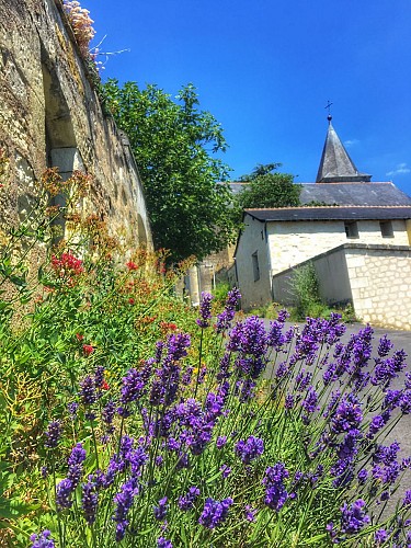 Circuit VTT Le Coudray-Macouard