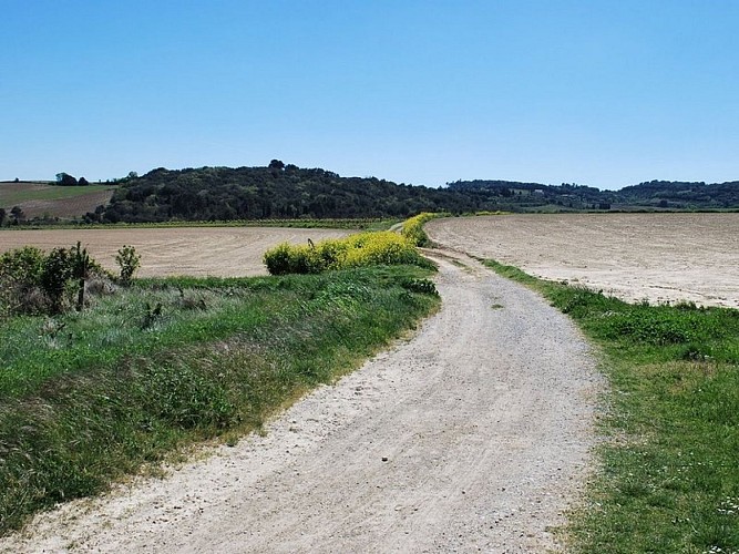 Malepère Trail