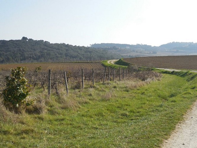 Malepère Trail