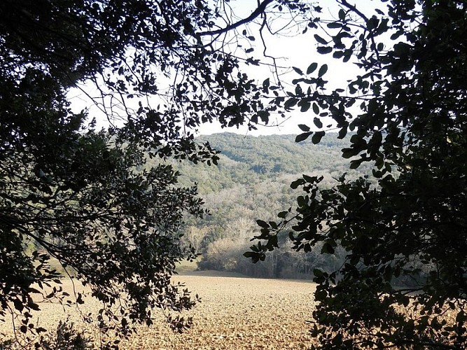 Malepère Trail