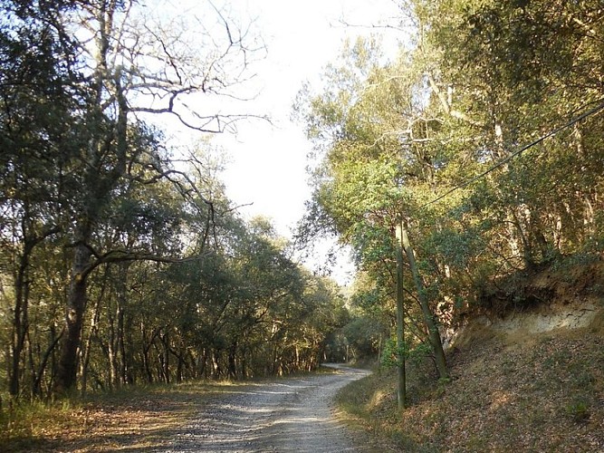 Malepère Trail